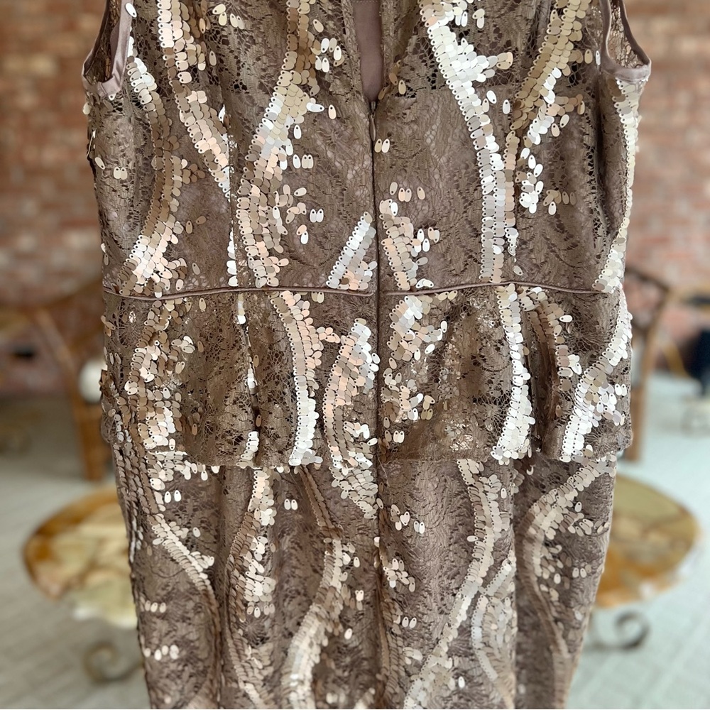 Adrianna Papell Taupe Champagne Lace Sequin Peplum Dress 14 Cocktail Glam - Picture 12 of 14